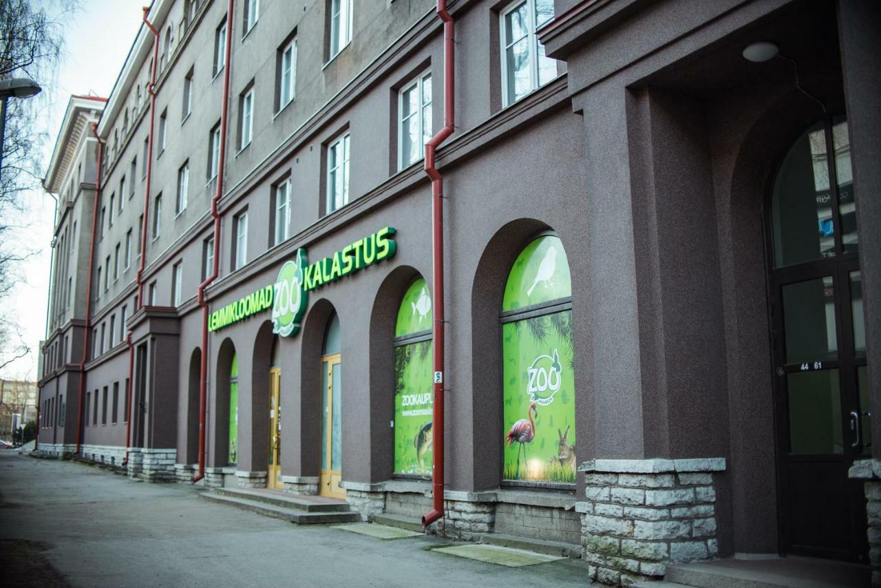 Apartament Large studio downtown Tallin Zewnętrze zdjęcie